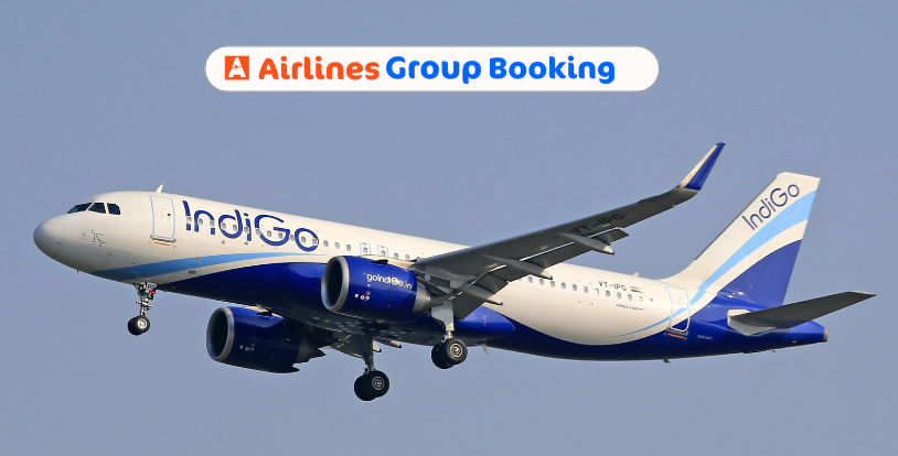 IndiGo Flight Cancellations: IndiGo cancels 400 flights as chaos continues on day 5; matter reaches SC