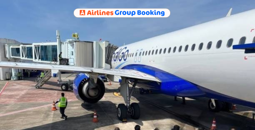 Indigo Flight Cancellations Live: Over 250 flights cancelled today; DGCA likely to cut down IndiGo slots, other domestic flights