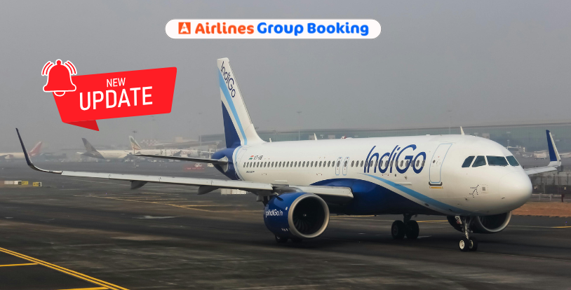 IndiGo Flight Status Today Live Updates: Airline says it will run over 1950 flights today, cancels 60 flights in Bengaluru
