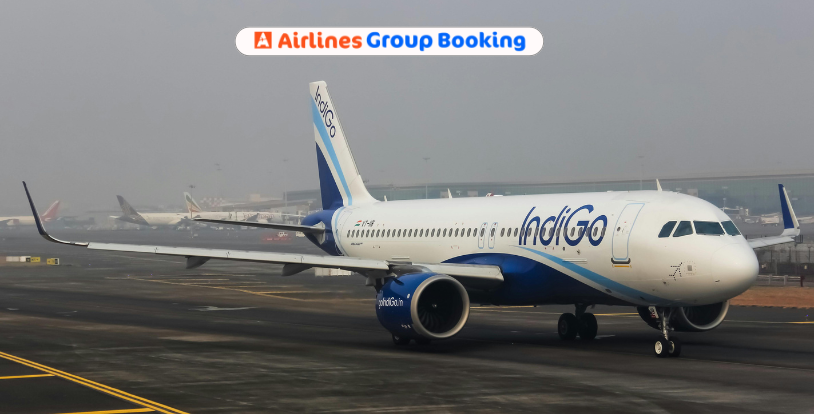 Four DGCA inspectors terminated after IndiGo’s meltdown